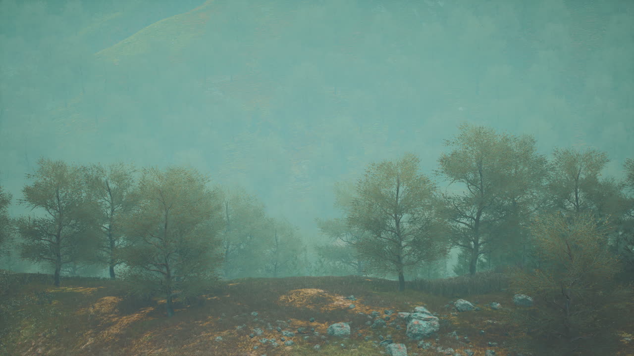 pequeños árboles verdes en las colinas en la niebla