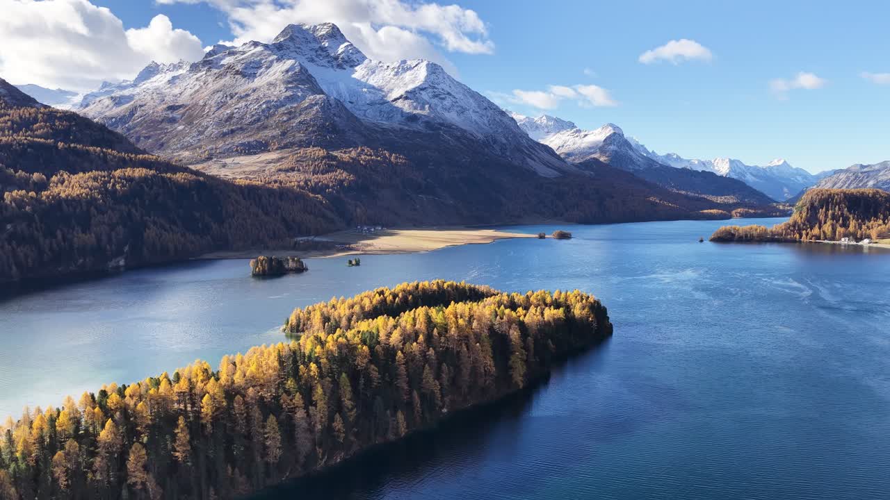 An aerial panorama of Lake Sils (Silsersee) in the Upper Engadin, Switzerland. The deep blue water is surrounded by golden larch forests and snow-capped mountains in a striking autumn display