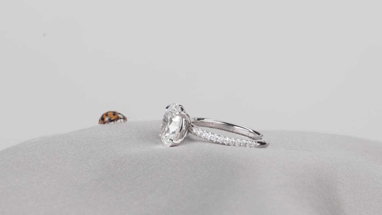 A ladybug crawls across a satin cloth toward a sparkling diamond ring