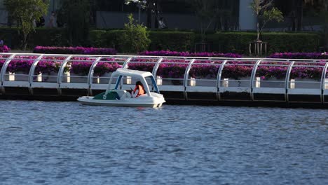 paddle boat moving past a floral bridge