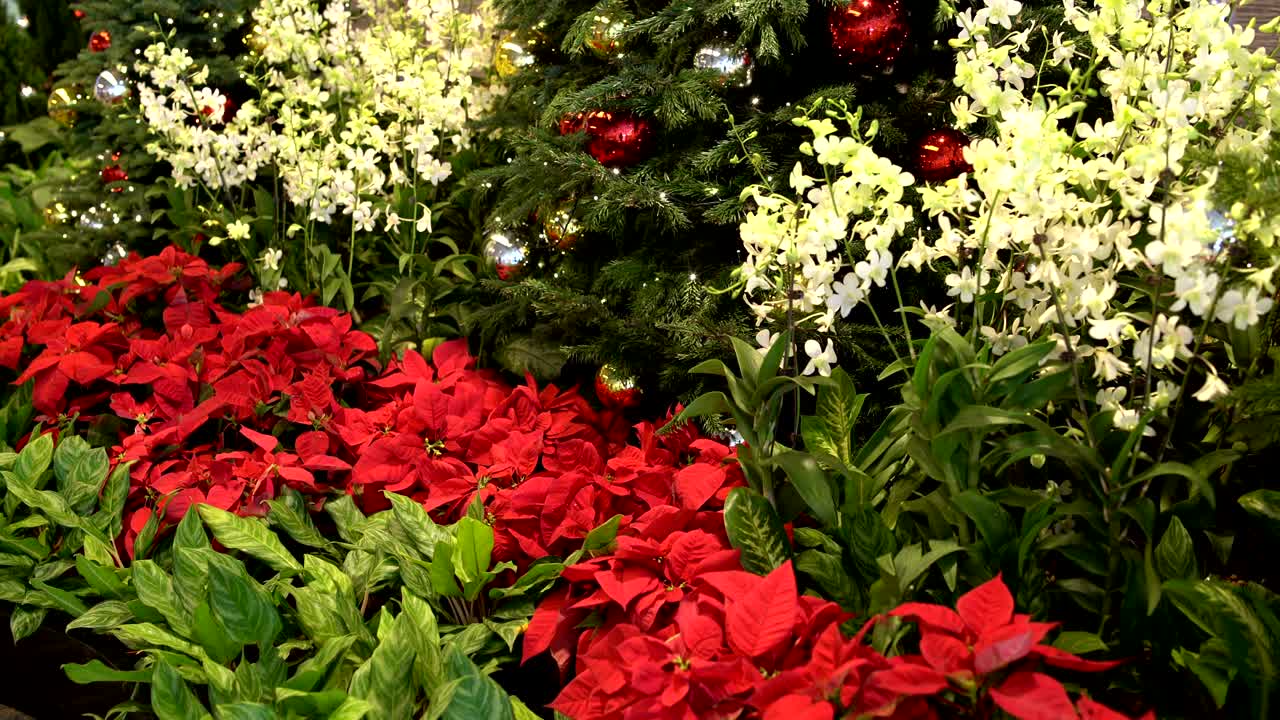 Artificial flowers and a Christmas tree with a garland