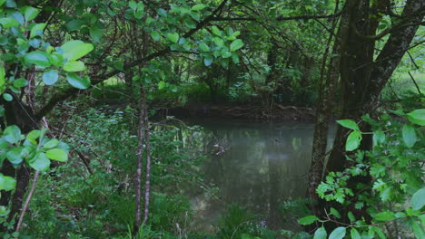 Una-Toma-De-Empuje-De-Un-Río-En-Cognac,-Francia,-Que-Acababa-De-Experimentar-Un-Breve-Período-De-Lluvia