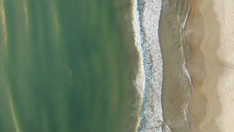 beautiful drone cinematic top view panning over the ocean of a brazilian beach with white sand and emerald clear water at sunrise