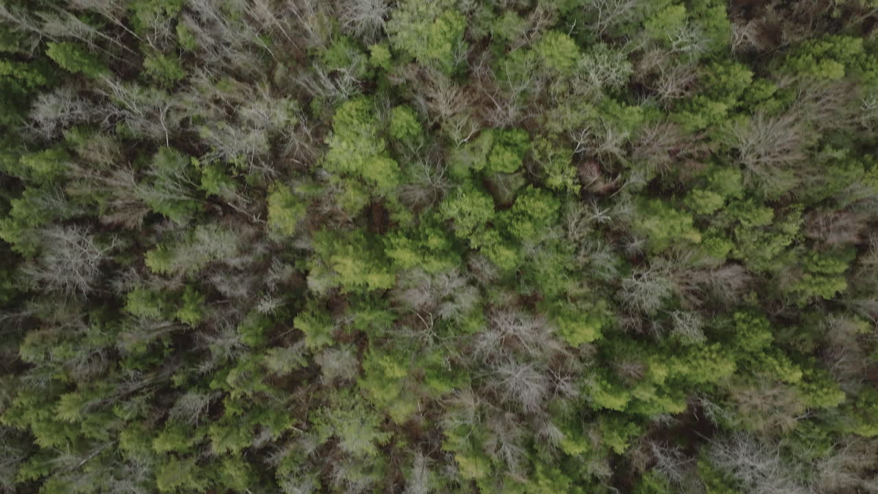 Aerial view of New Hampshire's White Mountain Wilderness. Shot on a spring day