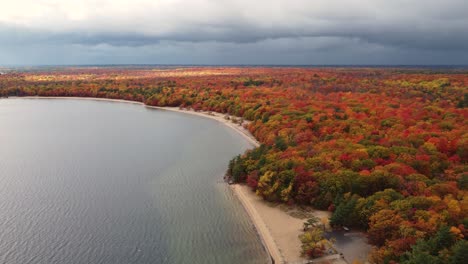 aerial landscape view over a coastline covered in a colorful autumnal forest, with yellow, red and orange foliage