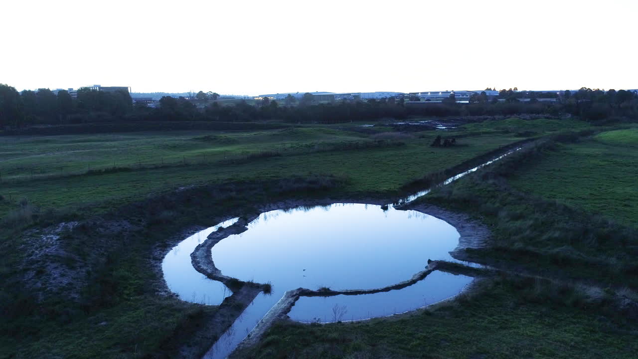 pequeño pájaro volando en un patrón único de una manera misteriosa alrededor de la captación de agua circular