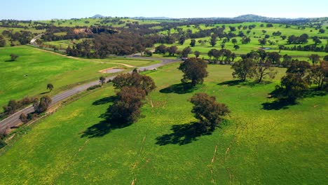 a country road highway between lush vegetations in outback australian