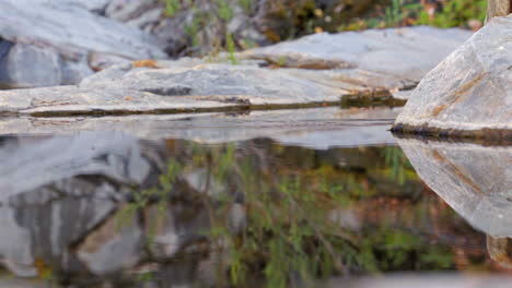 Spiegelreflexionen-Von-Wasserskimmern-Auf-Ruhigem-Wasser-Im-Schwimmbecken