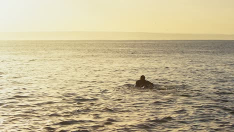 rear view of mid-adult caucasian male surfer swimming over surfboard in sea during sunset 4k