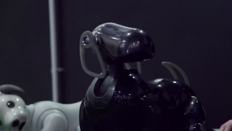 Perro robot