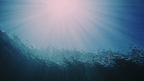 pan across sparkling light rays from sun as wave builds into barrel with water mirrorlike texture forming from mesmerizing barrel