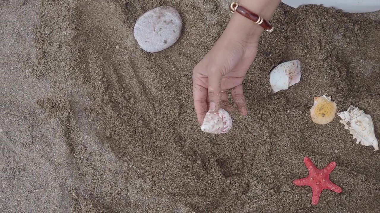 Woman Holding Seashell on Sandy Beach