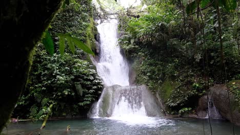 cascading waterfall deep in rainforest of mountainous rotokas region of bougainville island, papua new guinea