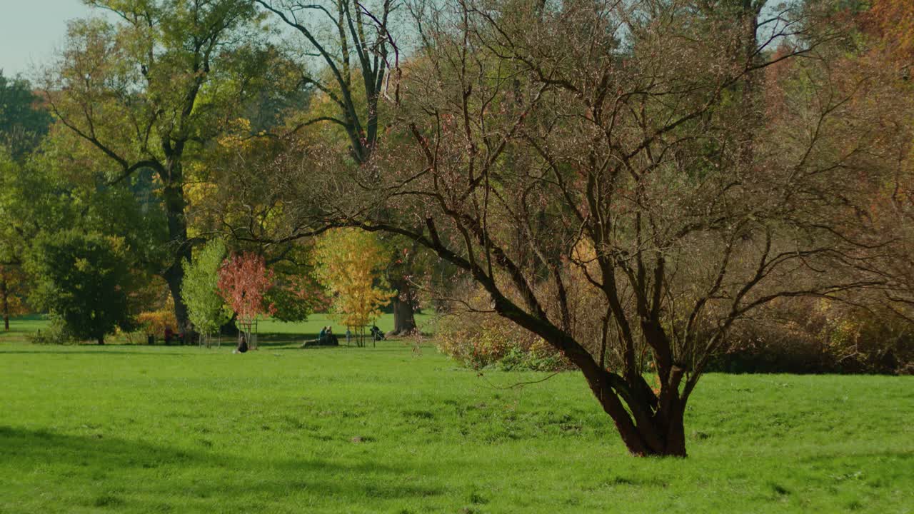 사람들은 covid 폐쇄 중에 프라하에서 공원을 즐깁니다.