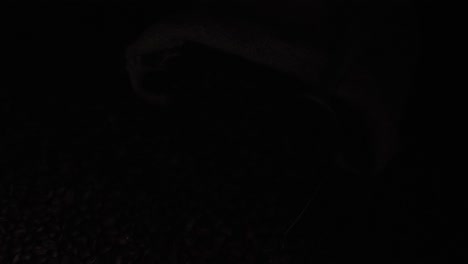 light pass coffee beans with bag and scoop, video in 4k, 50fps