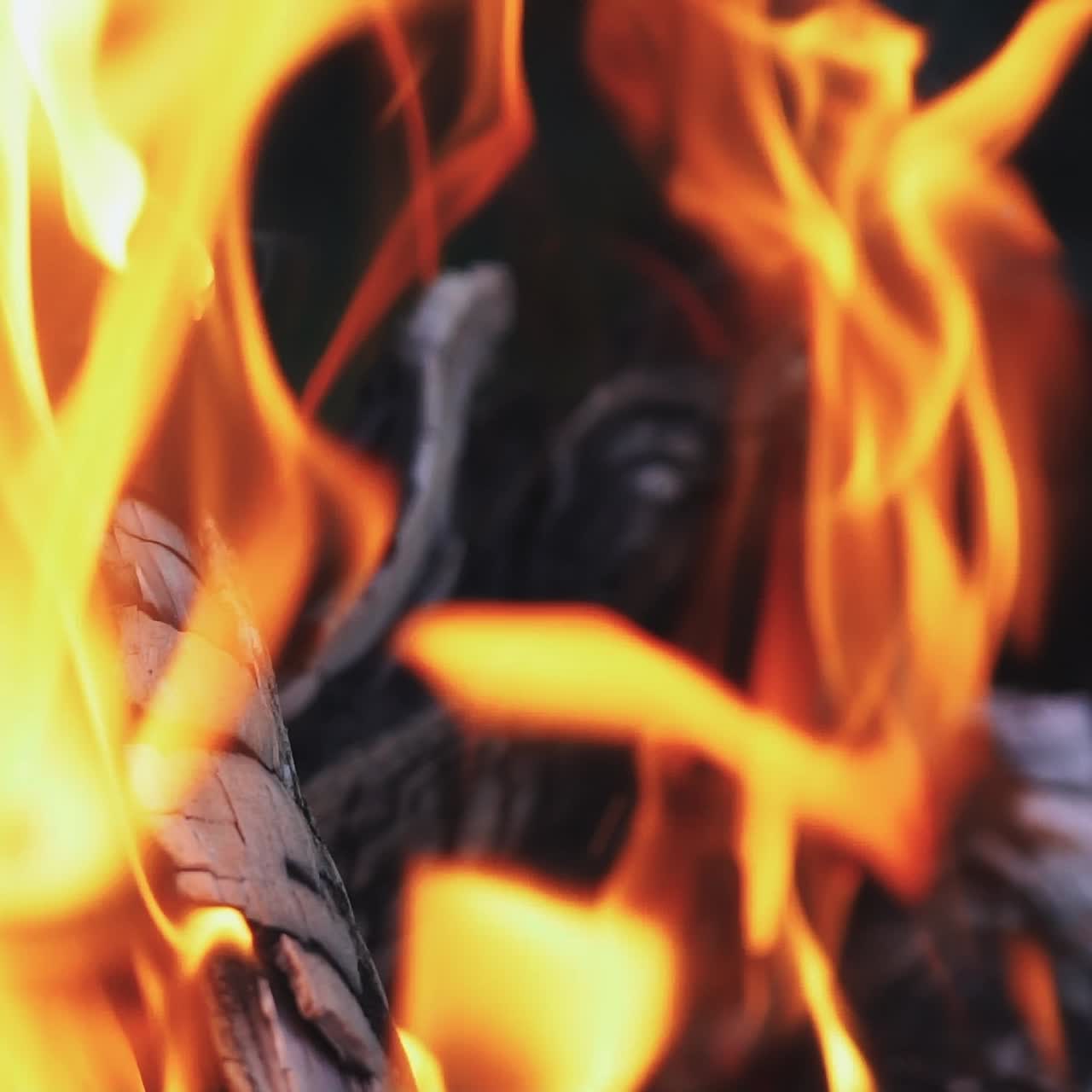 Burning wood, campfire macro video. Hot fireplace full of wood. Slow motion
