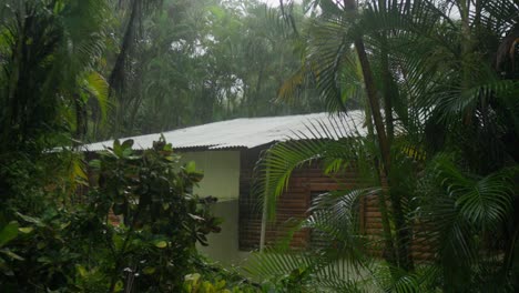 tropical forest house in a rainy day, slow motion