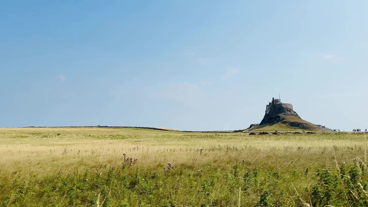 İngiltere, Northumberland'da çevredeki kırsalın üzerinde belirgin bir şekilde yükselen Bamburgh Kalesi. Altın rengi tarım arazileri ve açık gökyüzü, tarihi ortaçağ kalesini çerçeveliyor.