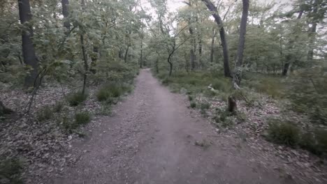 Transition-from-a-room-through-wooden-door-to-a-forest-in-outside-nature