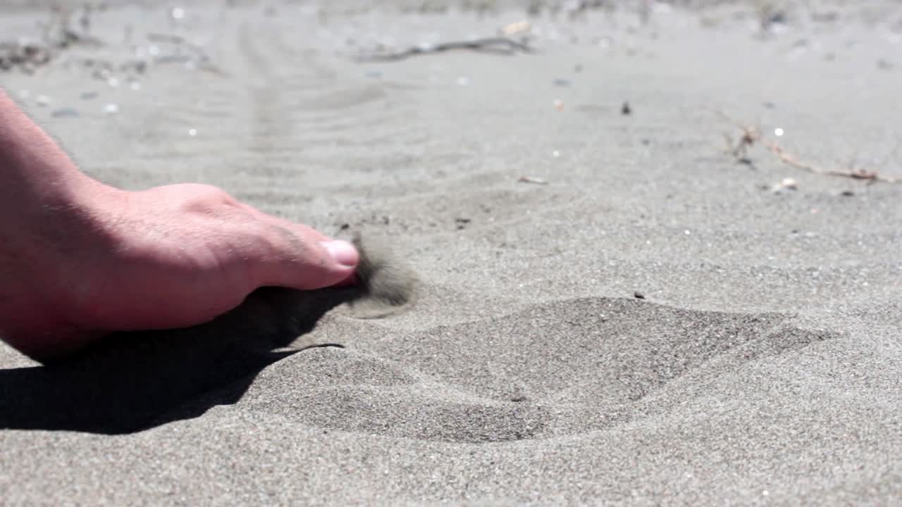 해변 에 있는 모래 를 만지는 손