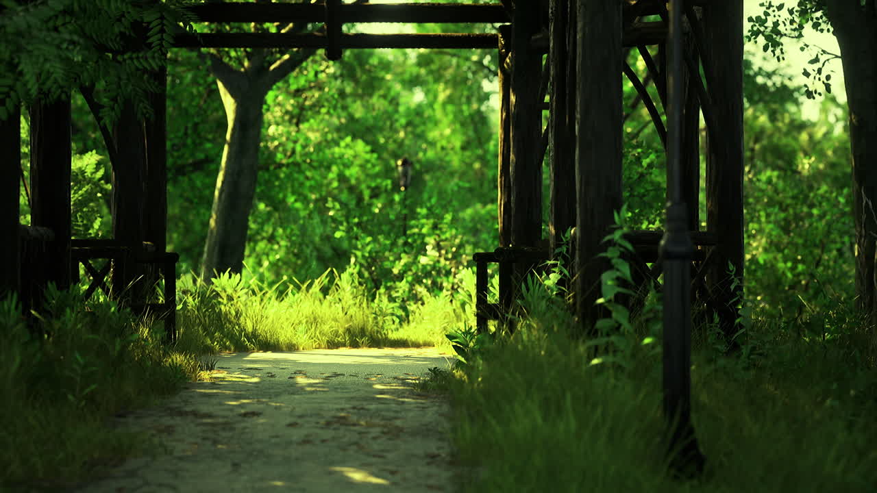 Serene pathway through lush green forest with wooden structure