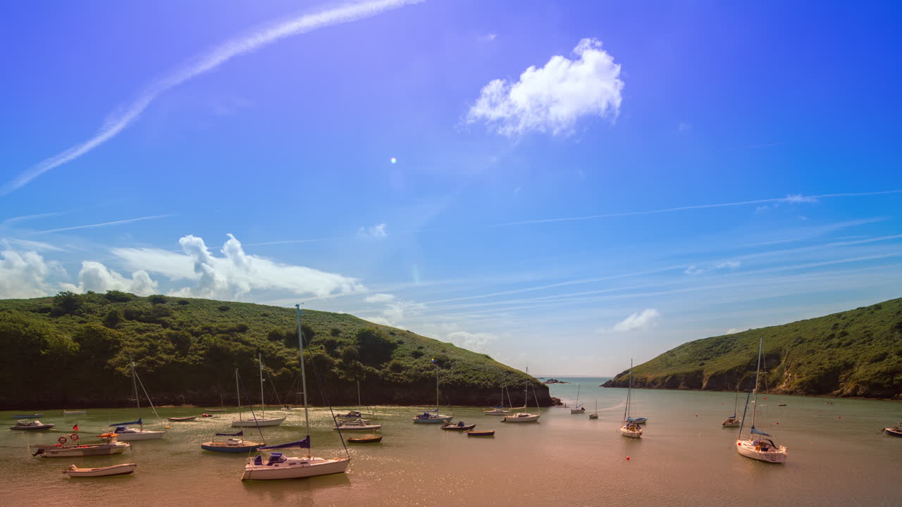 솔바 다채로운 4k 00