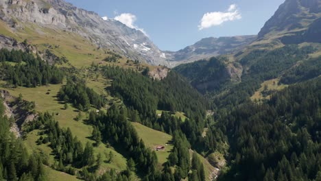 aerial of large forest in swiss mountains with small hiking cabins spread around the landscape