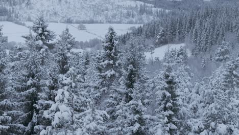 Blizzard-Over-Winter-Forest-Mountains.-Aerial-Close-up-Shot