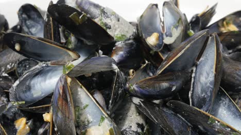 bowl of common mussels after meal close-up