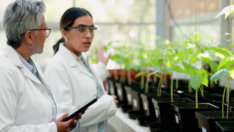 Wissenschaftlerin,-Pflanze-Und-Teamarbeit-Von-Frauen