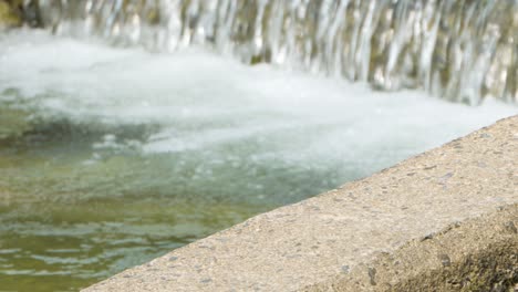 alcedo atthis or common kingfisher forages by waterfall fresh river water and ascends taking off in slow motion