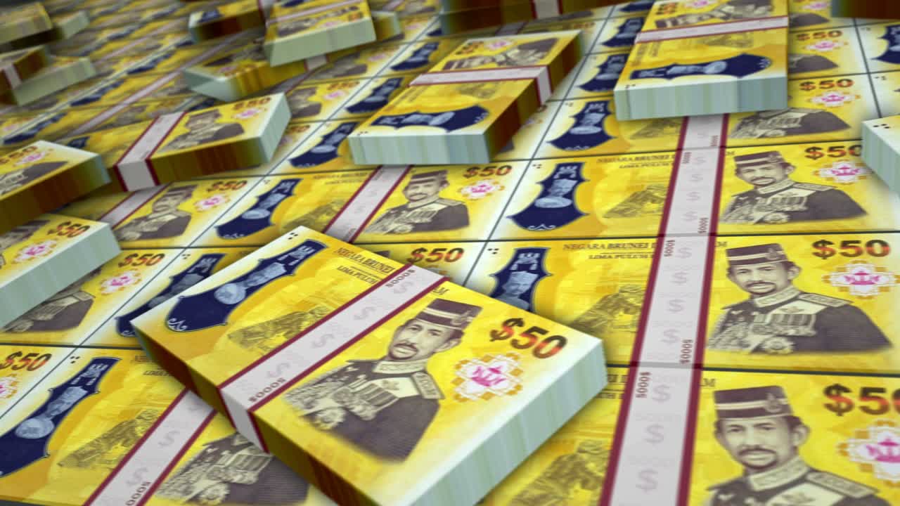 브루나이 달러 돈 지폐  루프 애니메이션