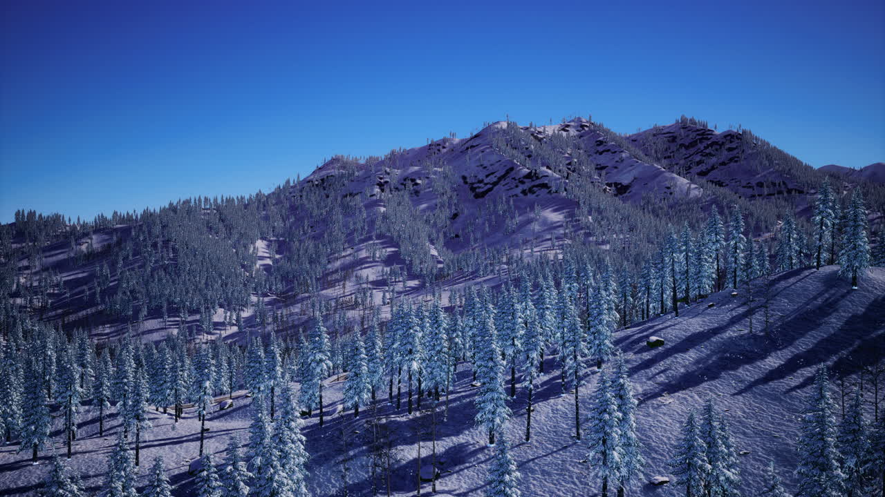 Snowy landscape of towering mountains and frosty pine trees under a bright sky