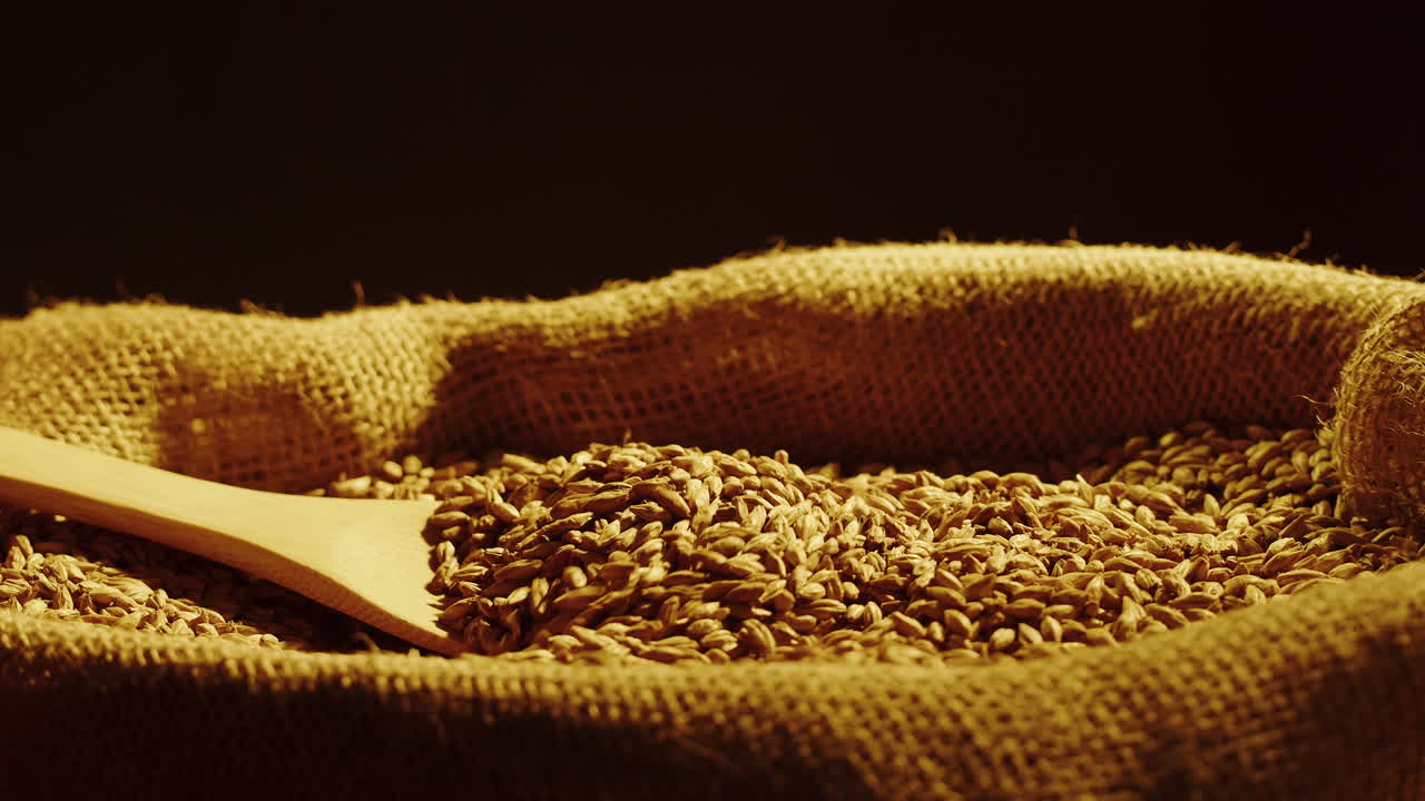 Barley Grains in a Sack with Wooden Spoon