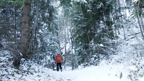 hombre vestido de invierno corriendo y caminando de regreso en el bosque nevado