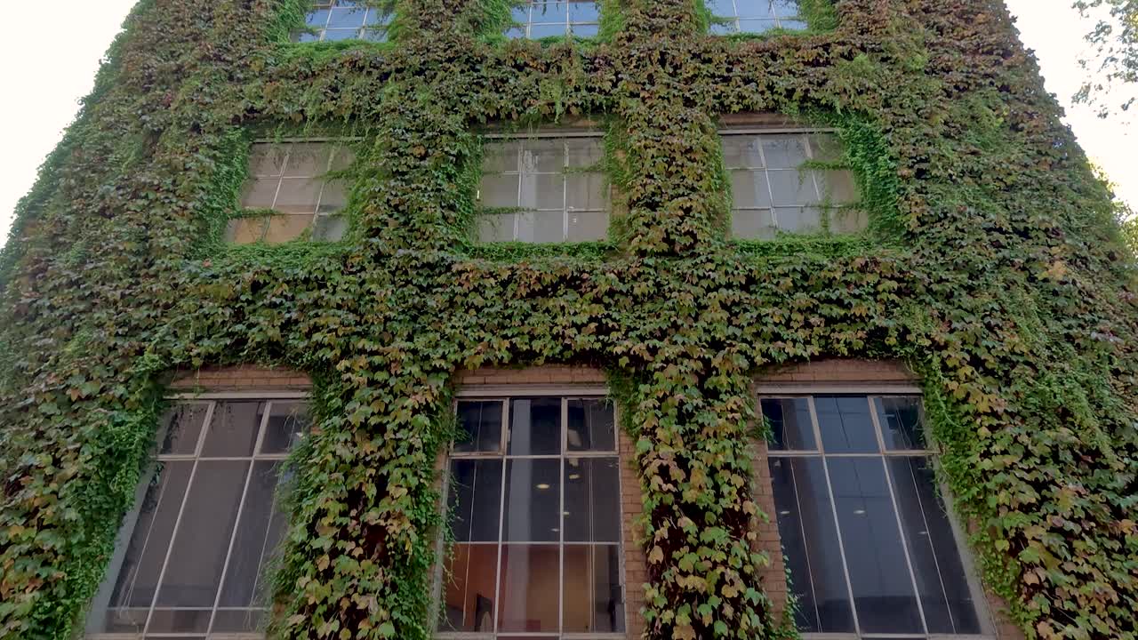 아이비로 인 건물 앞면
