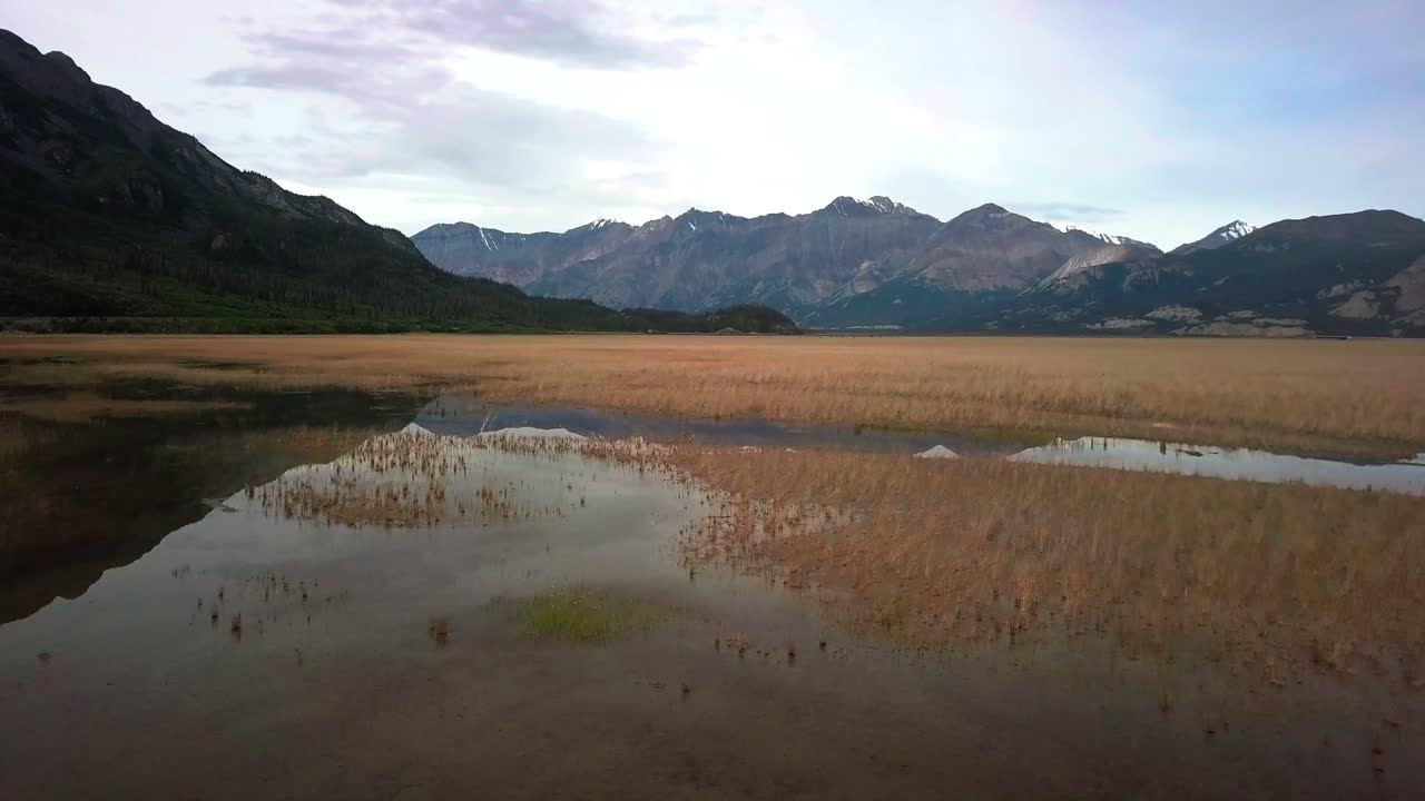 escena épica del paisaje del yukón en verano de la hierba del lago kluane reflectante del espejo hacia la majestuosa cordillera de ovejas marrones en el fondo en el día soleado del cielo azul, canadá, enfoque aéreo superior