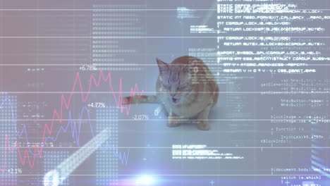 Cat sitting with financial data and coding animation over background
