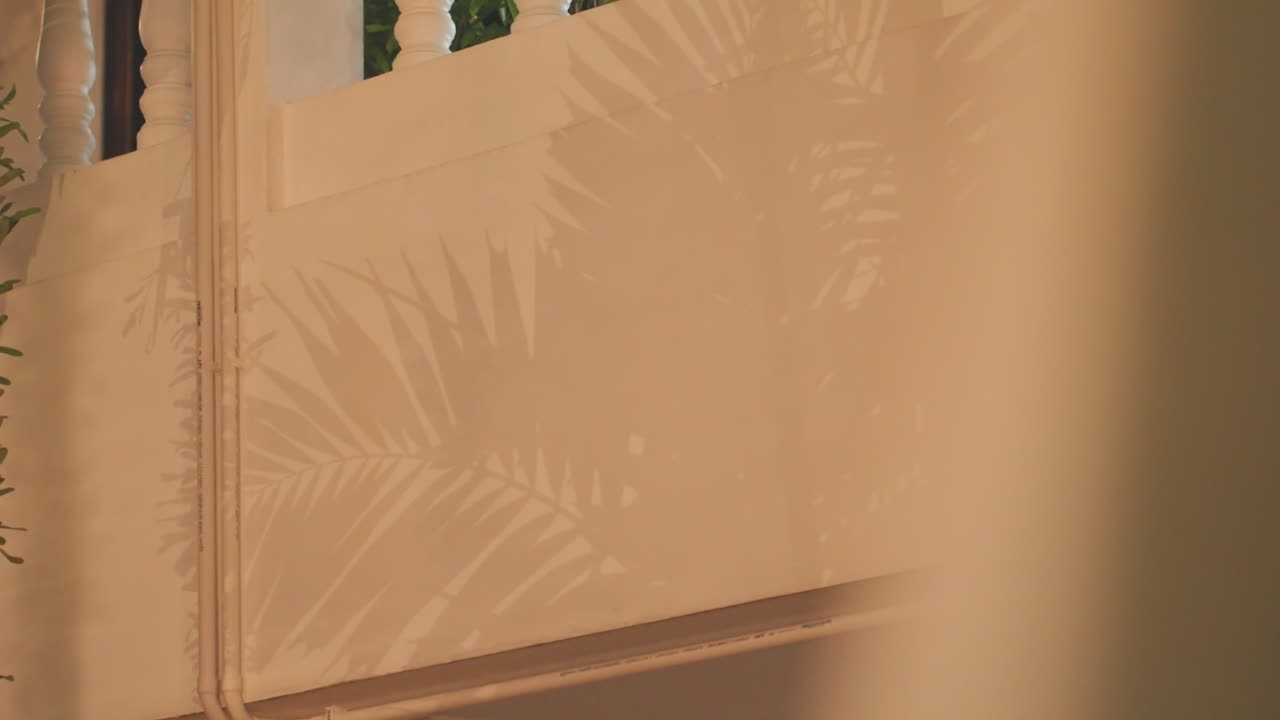 Island balcony with palm leaf shadows. Close view of beige stucco wall and decorative plaster detail, balcony railing partially visible, slatted shadows cast by palm fronds, hints of greenery beyond