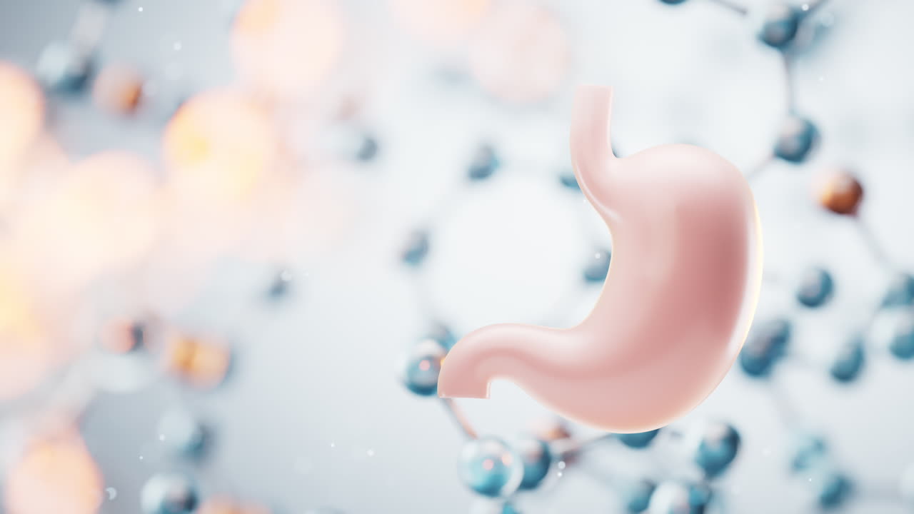 Stomach with transparent molecules background, 3d rendering.