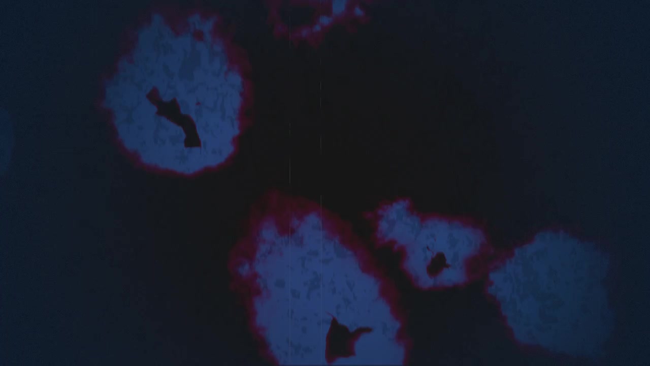 Cerchio blu ipnotizzante avvolge un centro rosso fluttuante.