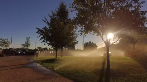 watering the grass at sunrise with a sprinkler system