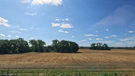 expansive fields under a clear blue sky