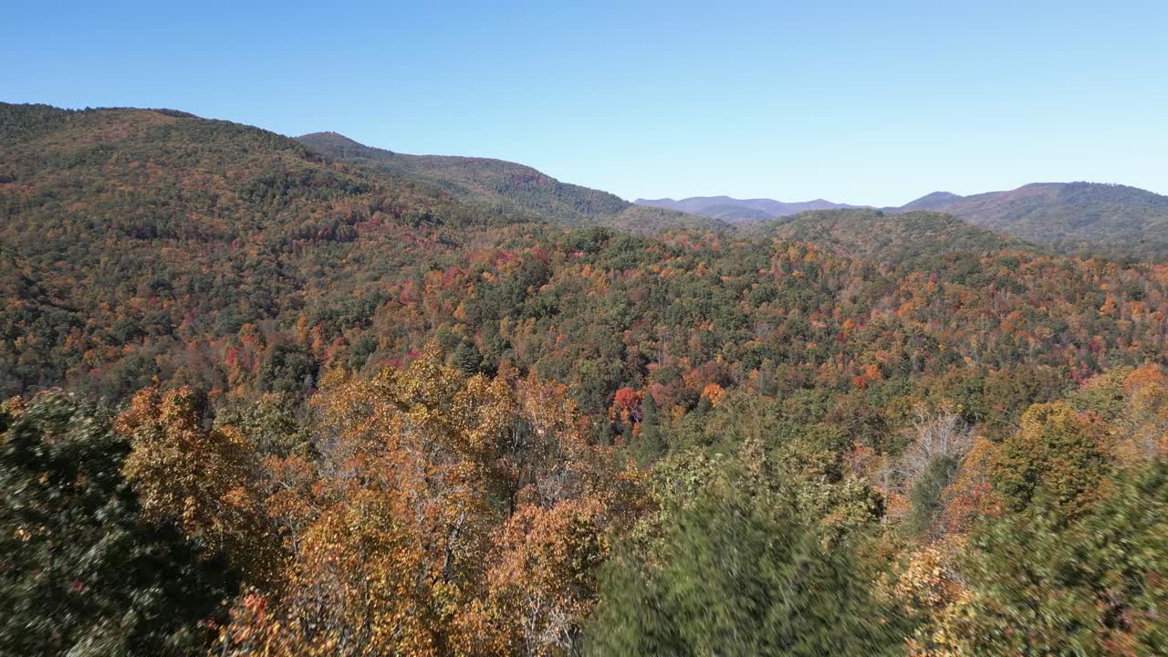 Drone aereo 4K vola attraverso la linea degli alberi, rivelando le splendide e colorate Montagne Appalachi in autunno.