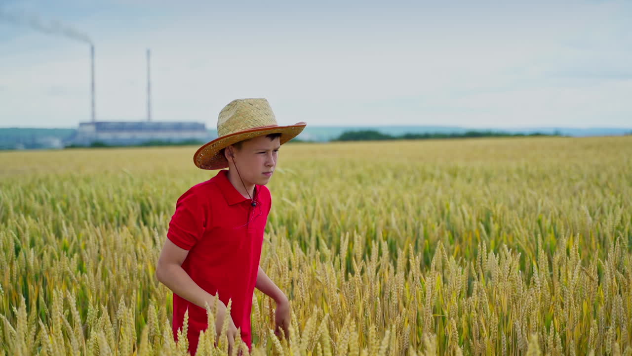 Funny boy gives straw hat to a younger brother. Boys friends in wheat field. Clear and sunny day. Blue sky in the background. Video of two boys.