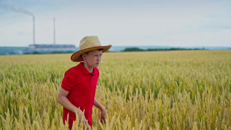 funny boy gives straw hat to a younger brother. boys friends in wheat field. clear and sunny day. blue sky in the background. video of two boys.