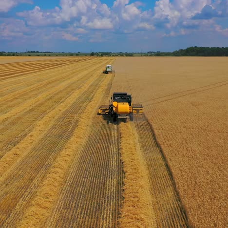 harvesters working in the field