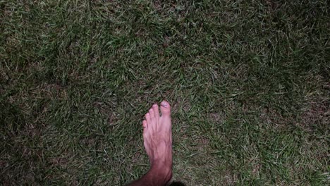 barefoot on the grass