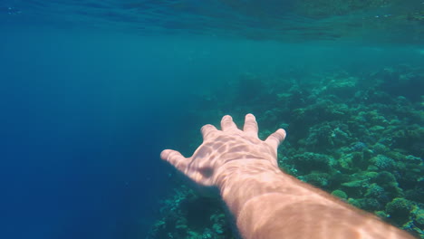 buzo de mano bajo el agua