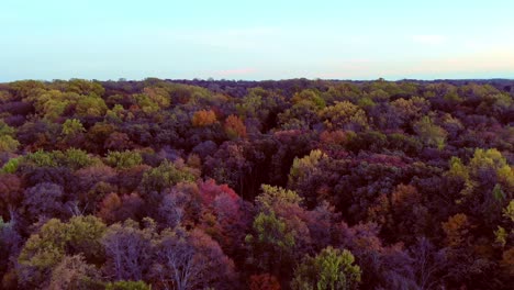 fall colors ot the folliage of new jersey